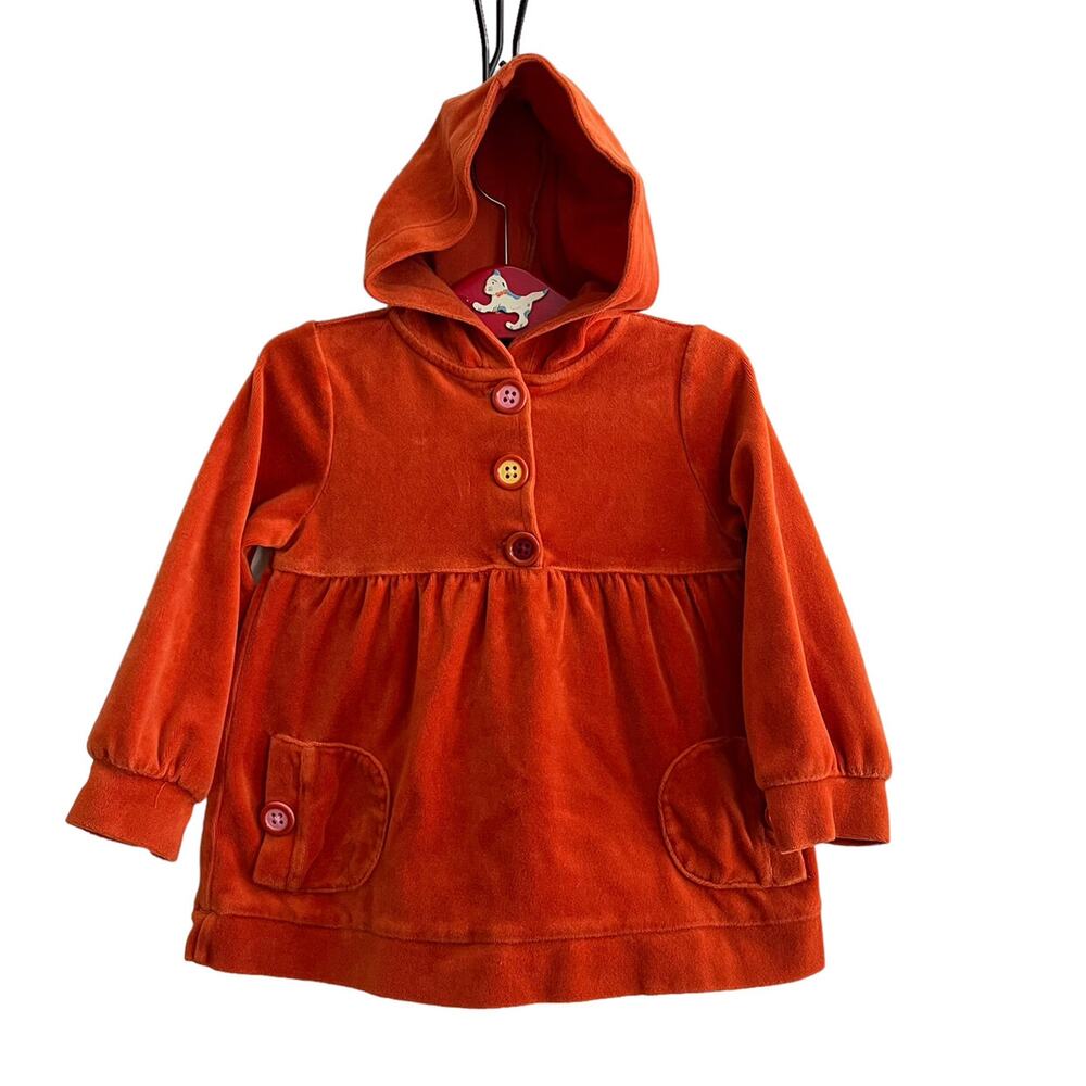 Gymboree Orange Velour Hoodie